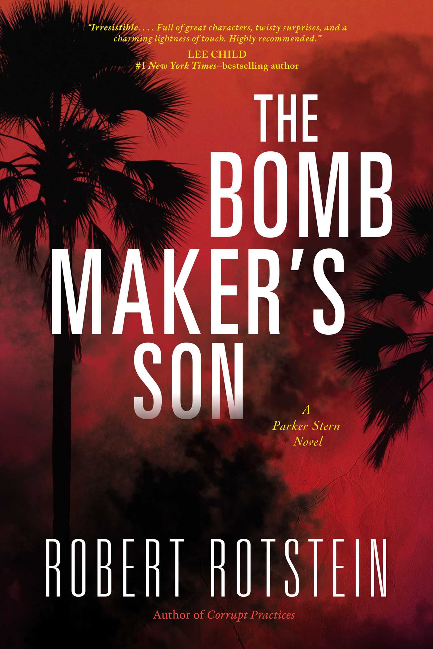 Bomb Maker's Son: A Parker Stern Novel
