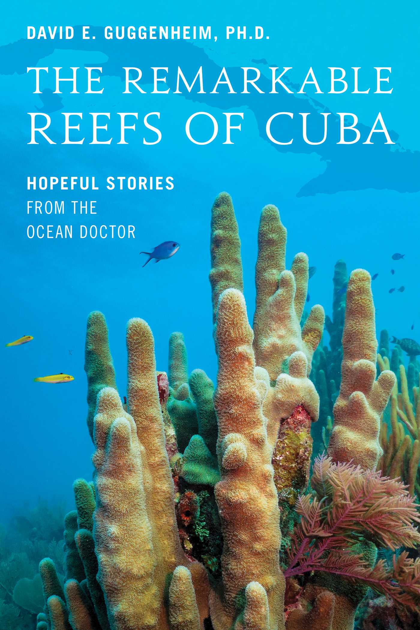 Remarkable Reefs Of Cuba: Hopeful Stories From the Ocean Doctor