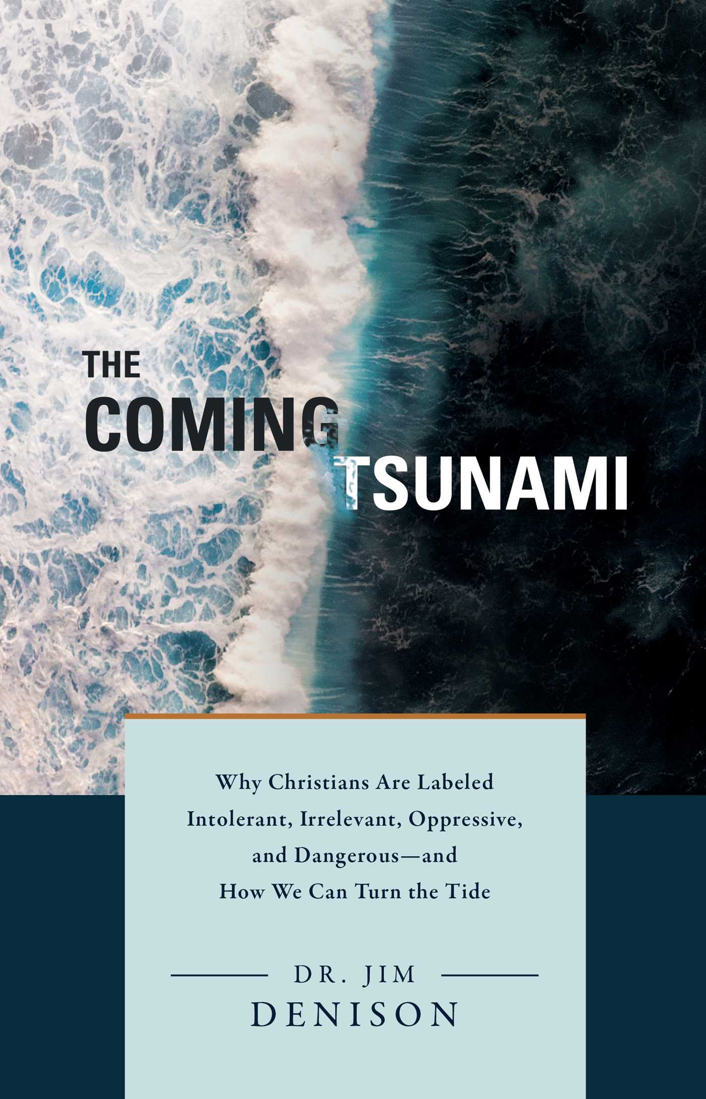 Coming Tsunami: Why Christians Are Labeled Intolerant, Irrelevant, Oppressive, and Dangerous—and How We Can Turn the Tide
