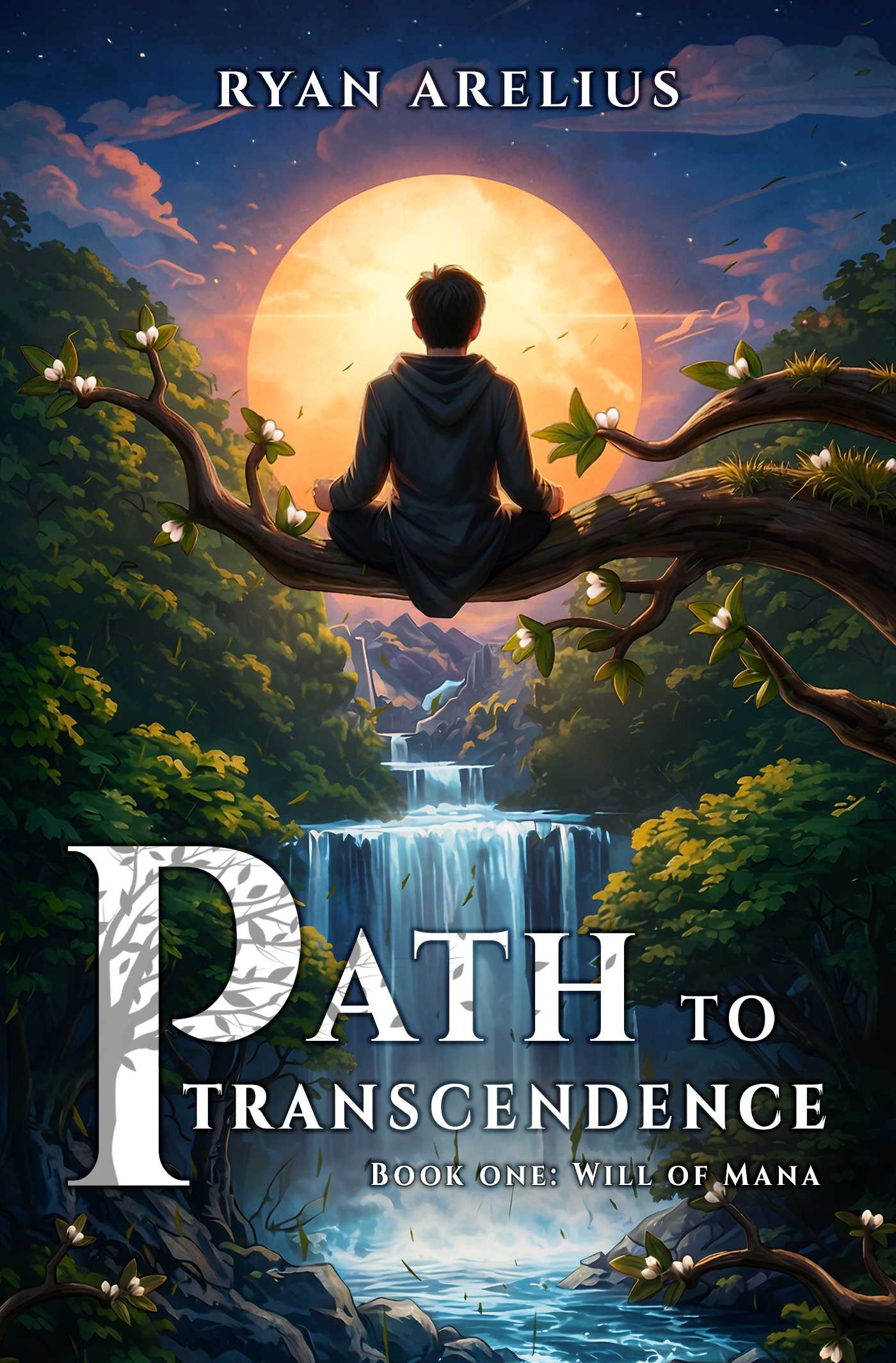 Path to Transcendence, Book 1