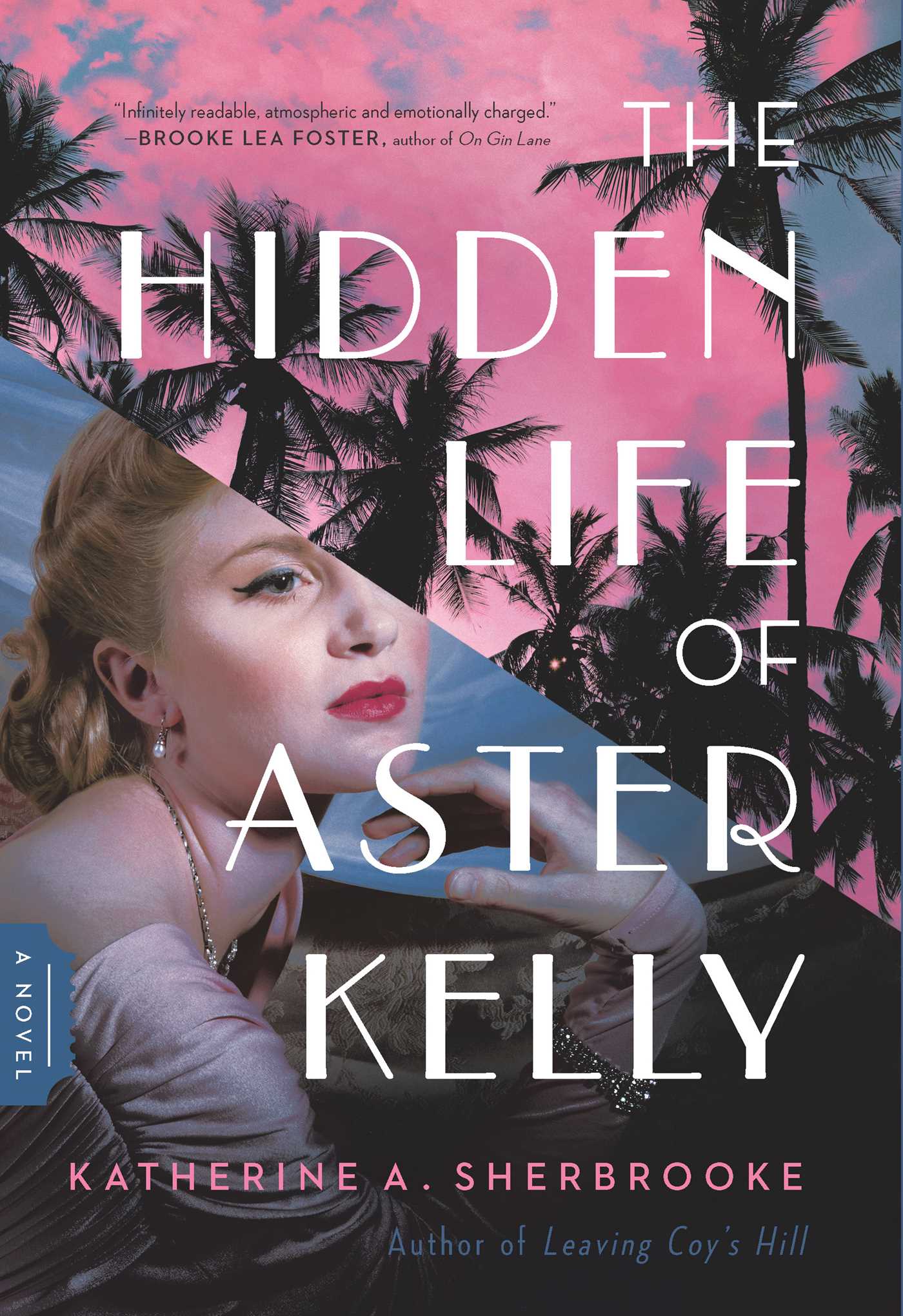 Hidden Life of Aster Kelly: A Novel