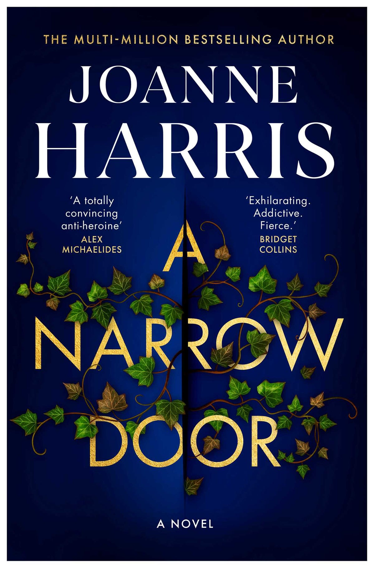 Narrow Door: A Novel