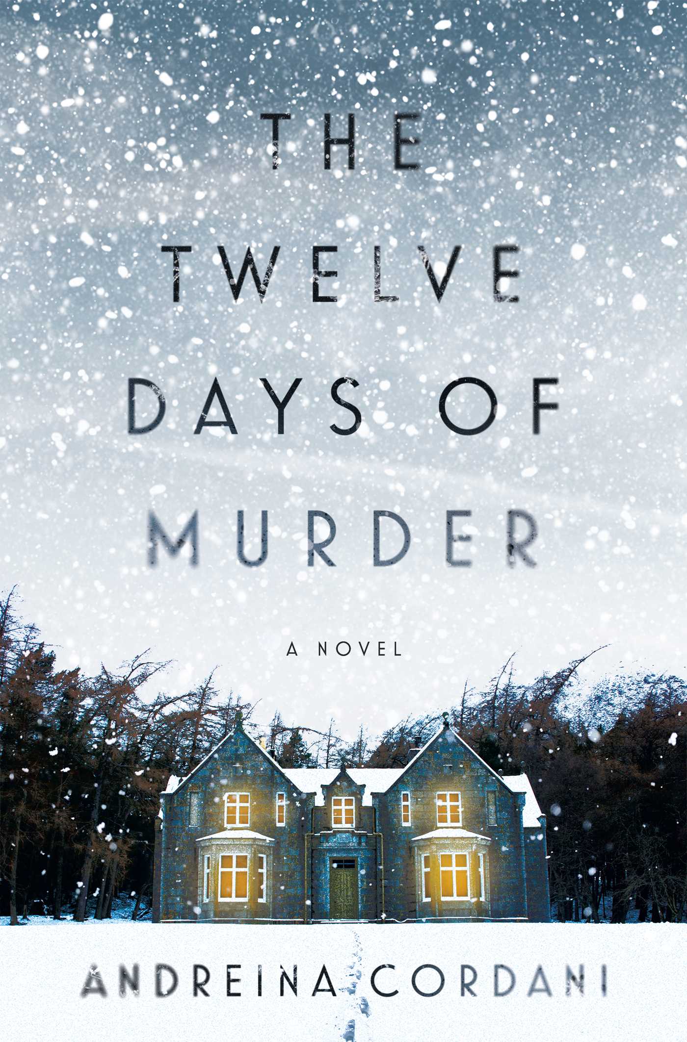 Twelve Days of Murder: A Novel