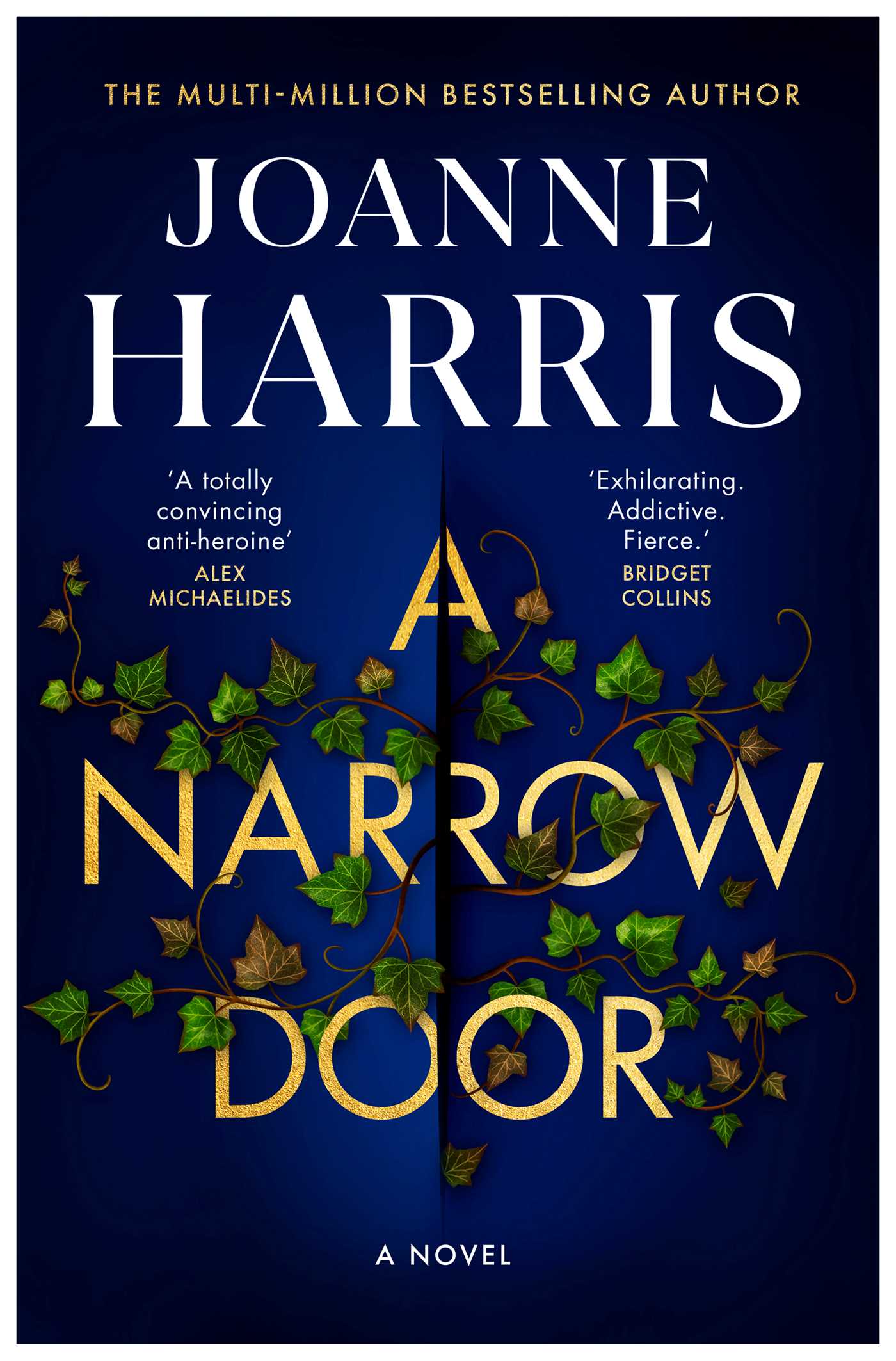 Narrow Door: A Novel