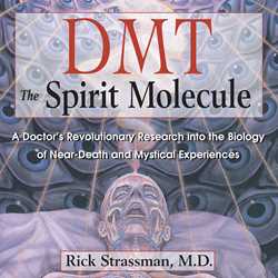 DMT: The Spirit Molecule