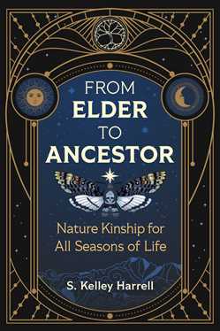 From Elder to Ancestor