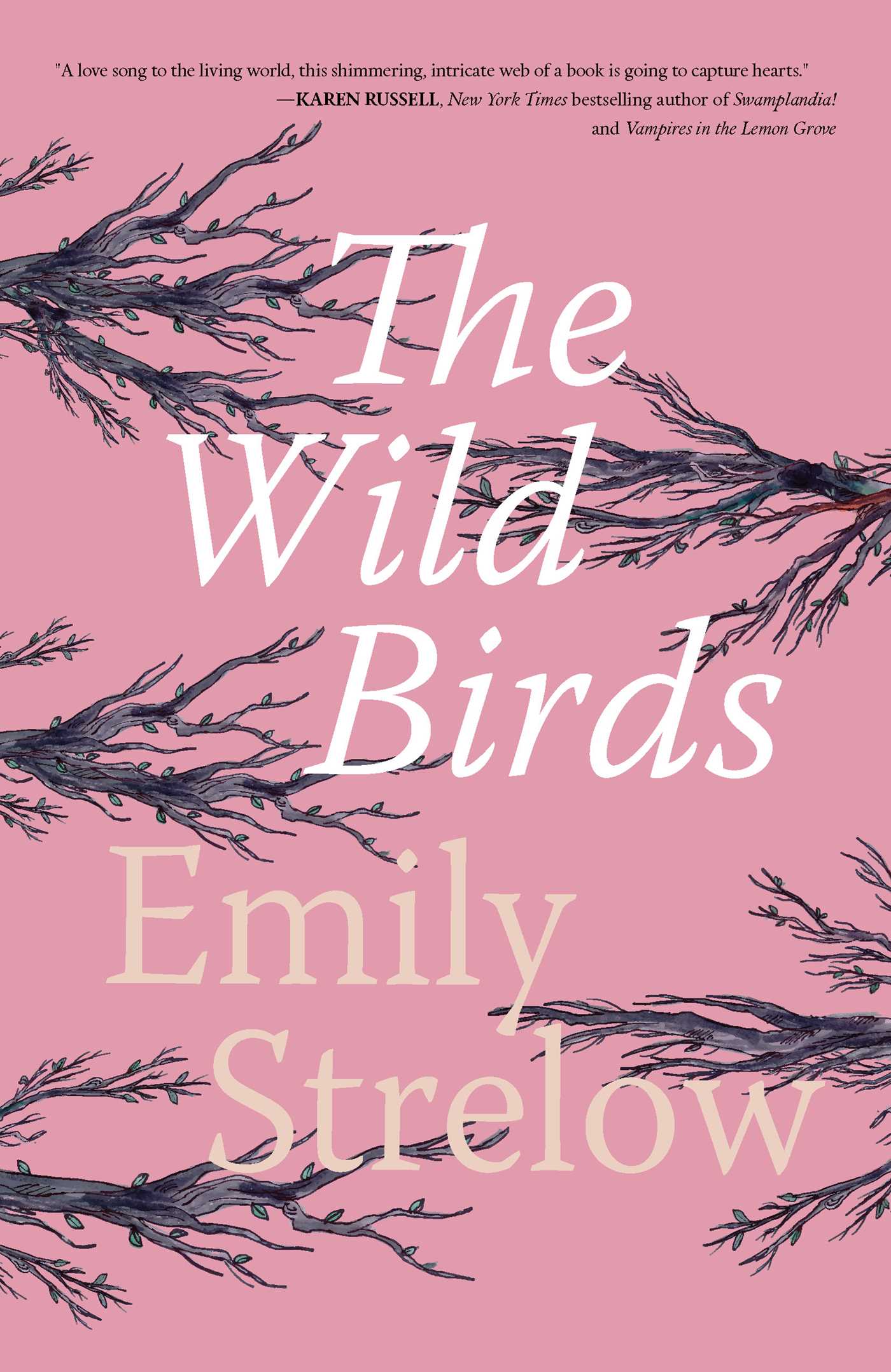 Wild Birds
