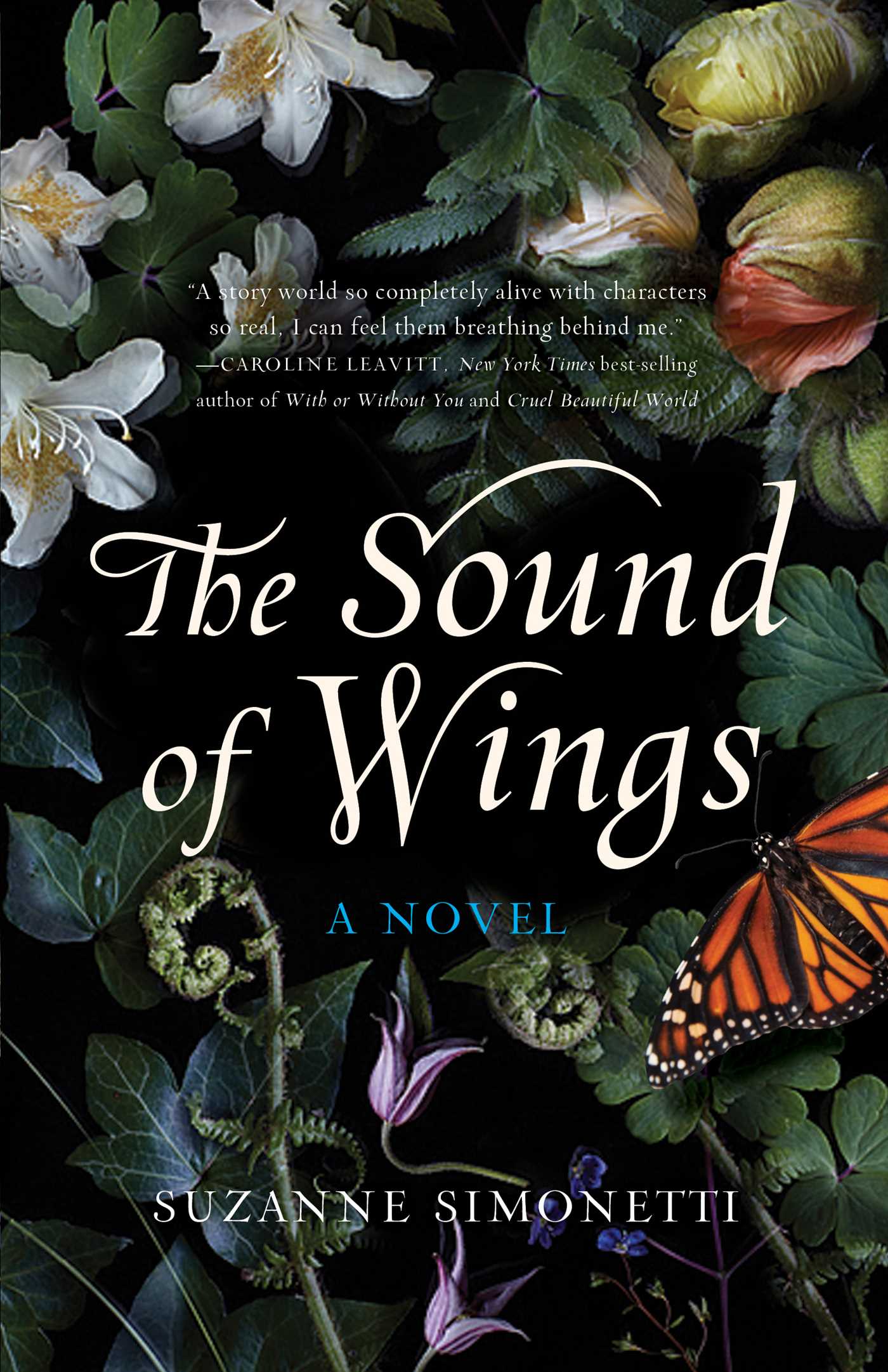 Sound of Wings: A Novel