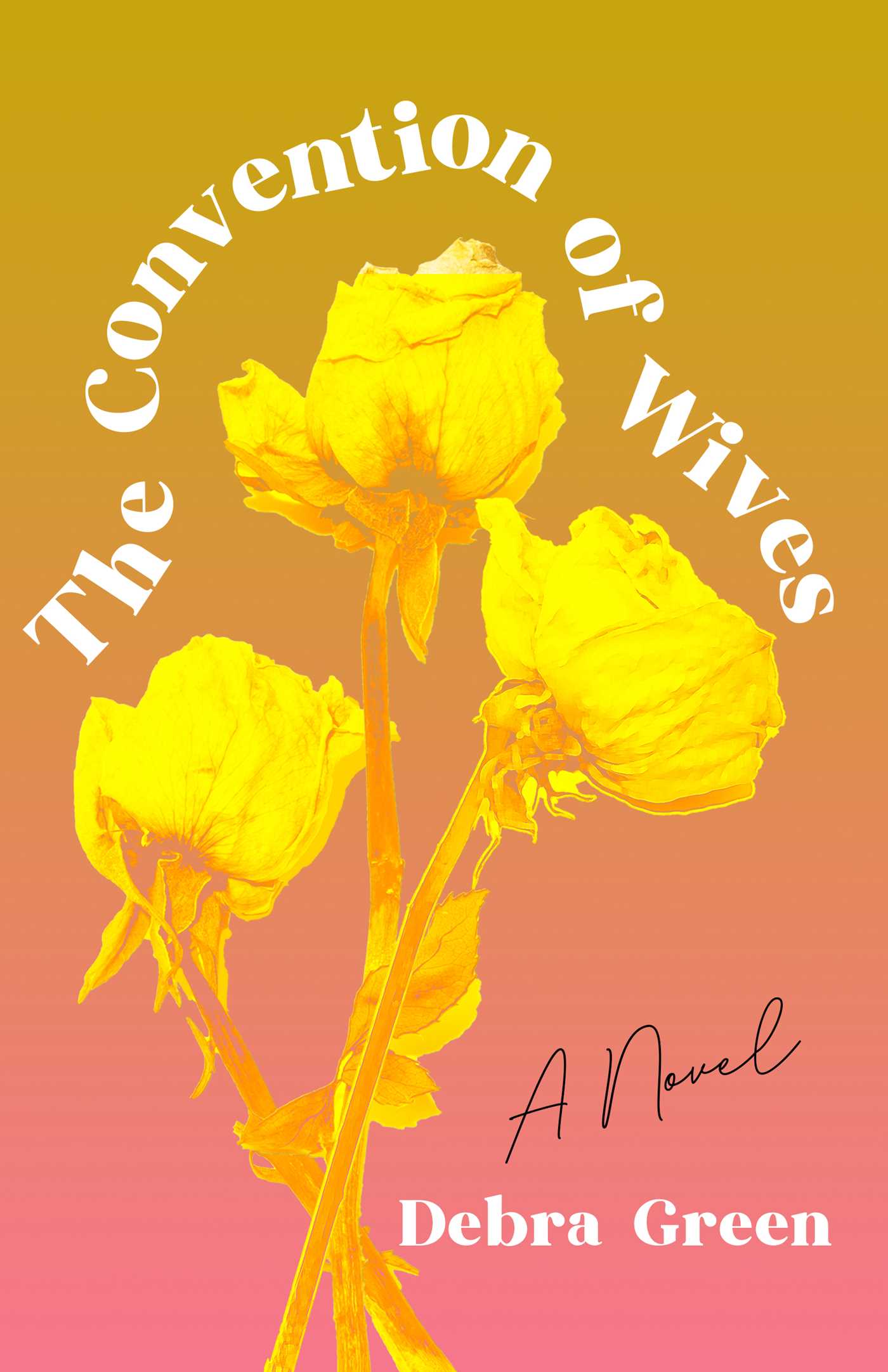 Convention of Wives: A Novel