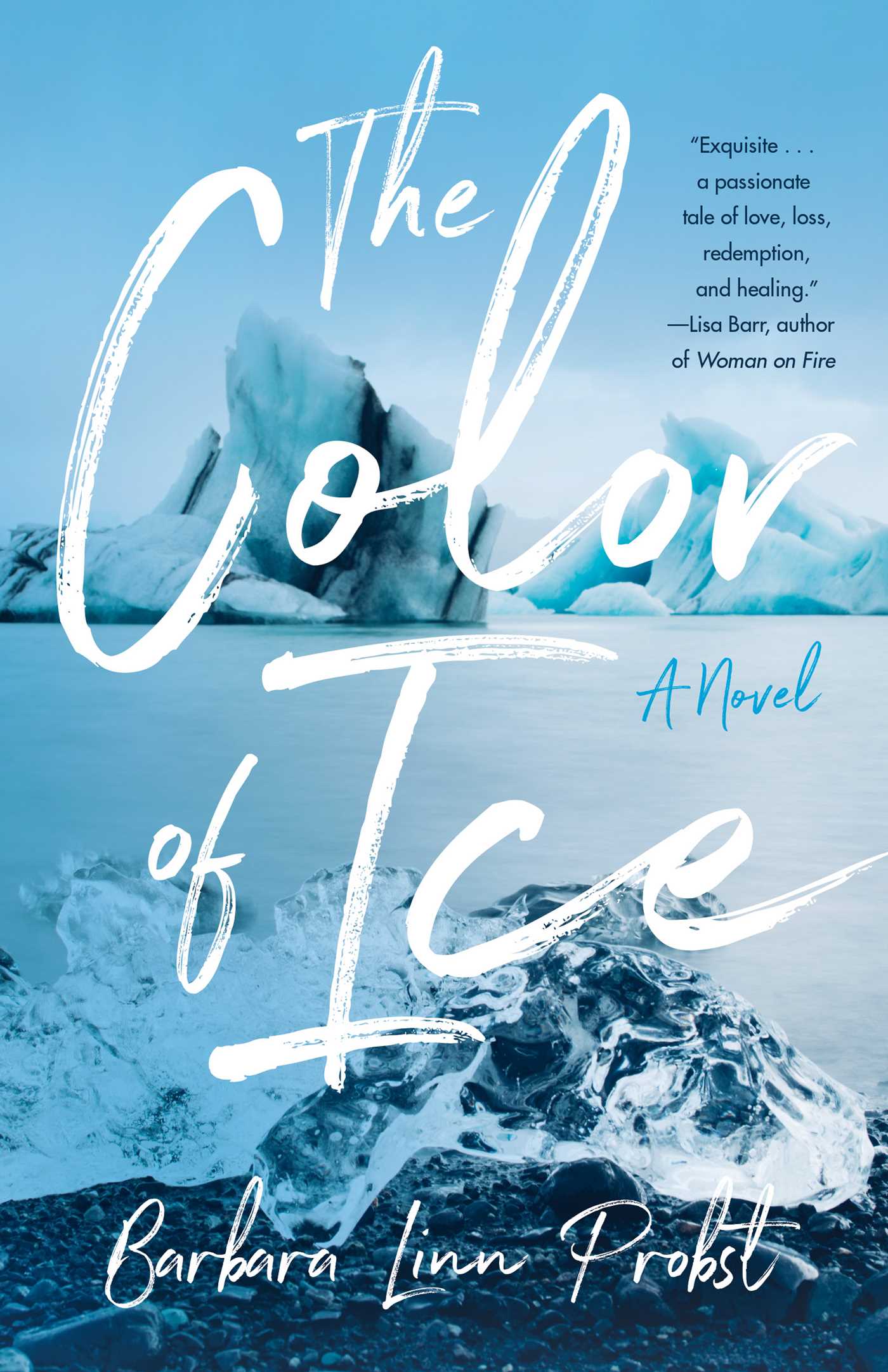 Color of Ice: A Novel