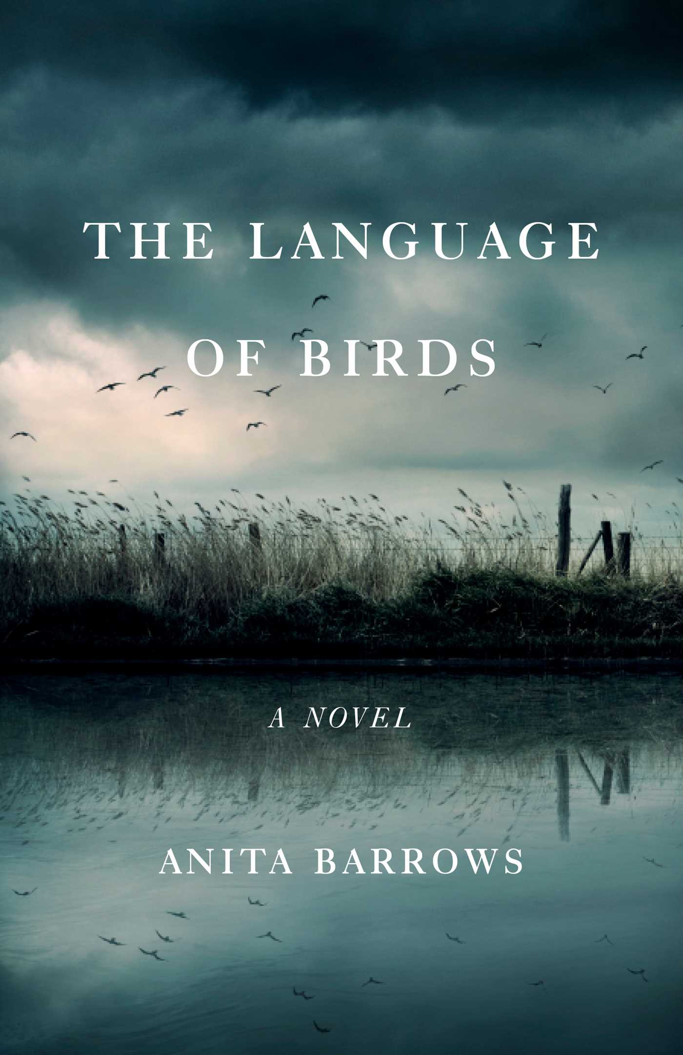 Language of Birds: A Novel