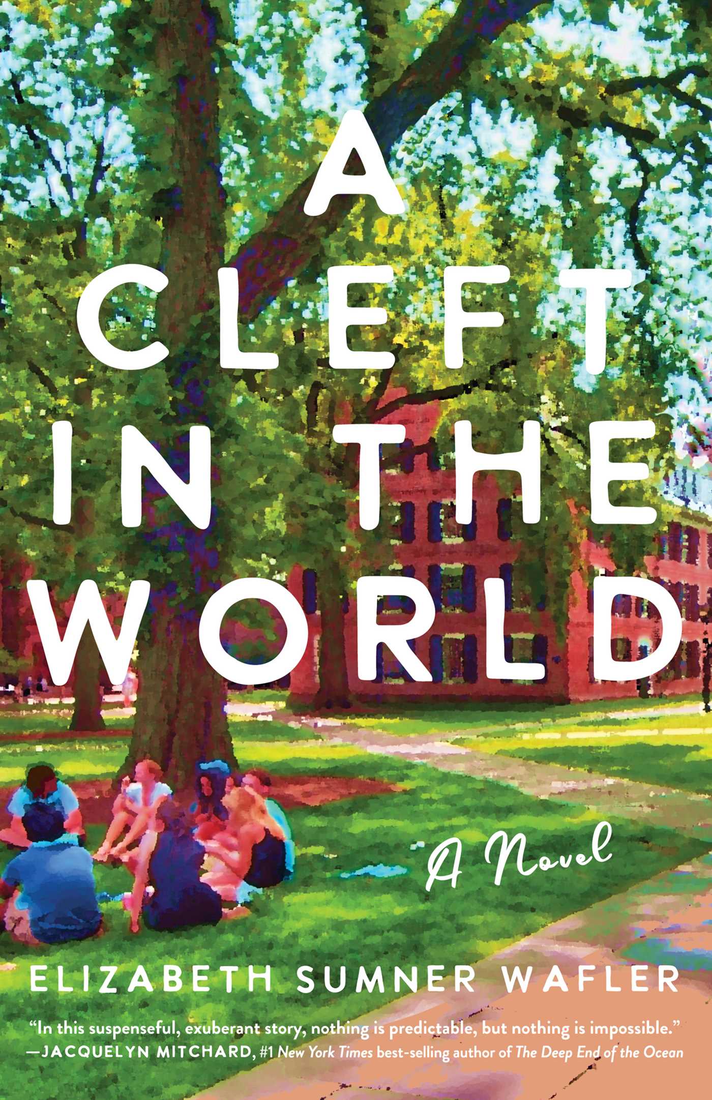 Cleft in the World: A Novel