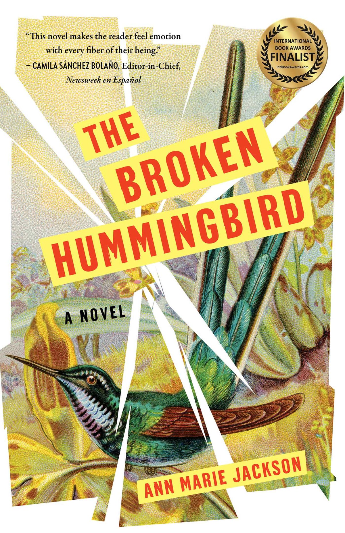 Broken Hummingbird: A Novel