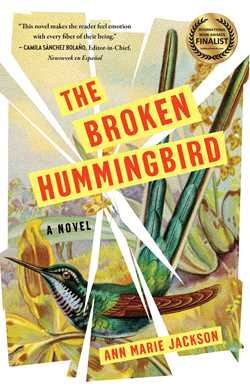 The Broken Hummingbird