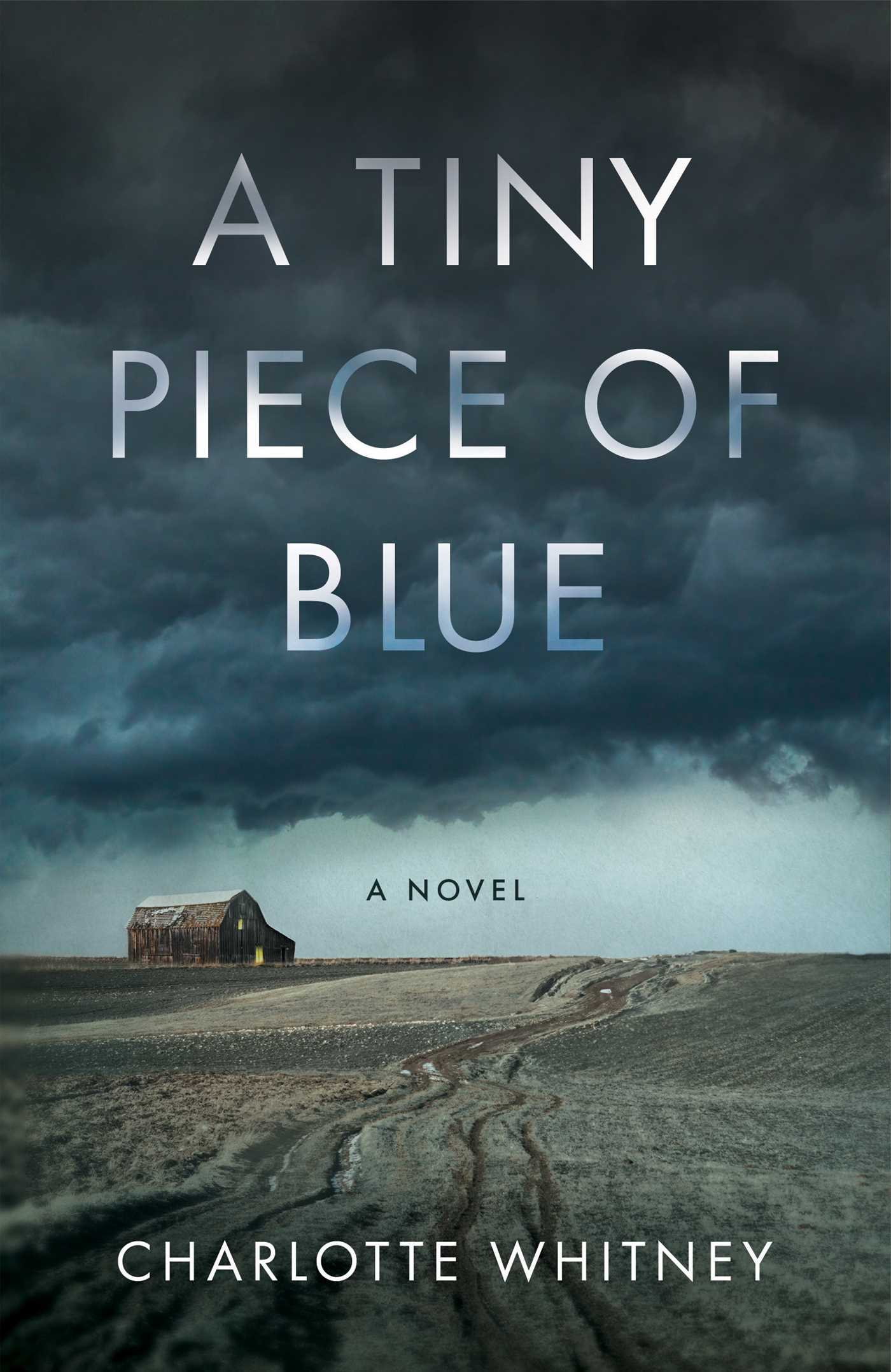 Tiny Piece of Blue: A Novel