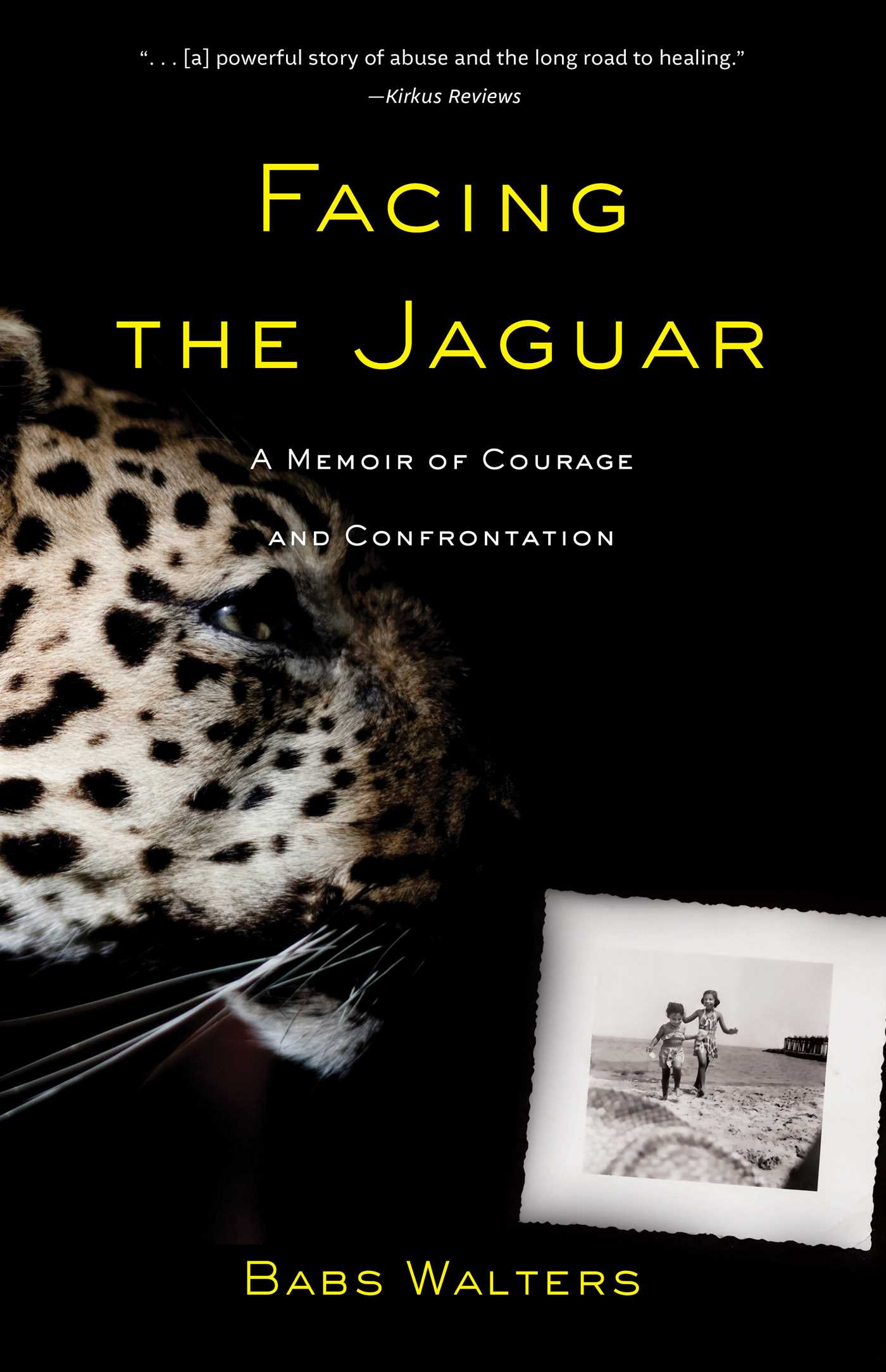 Facing the Jaguar