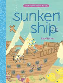 Sunken Ship