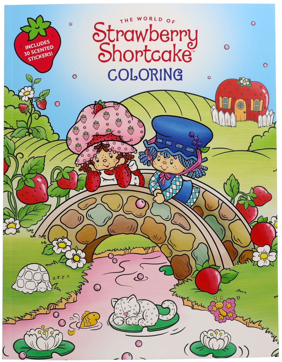 World of Strawberry Shortcake Coloring