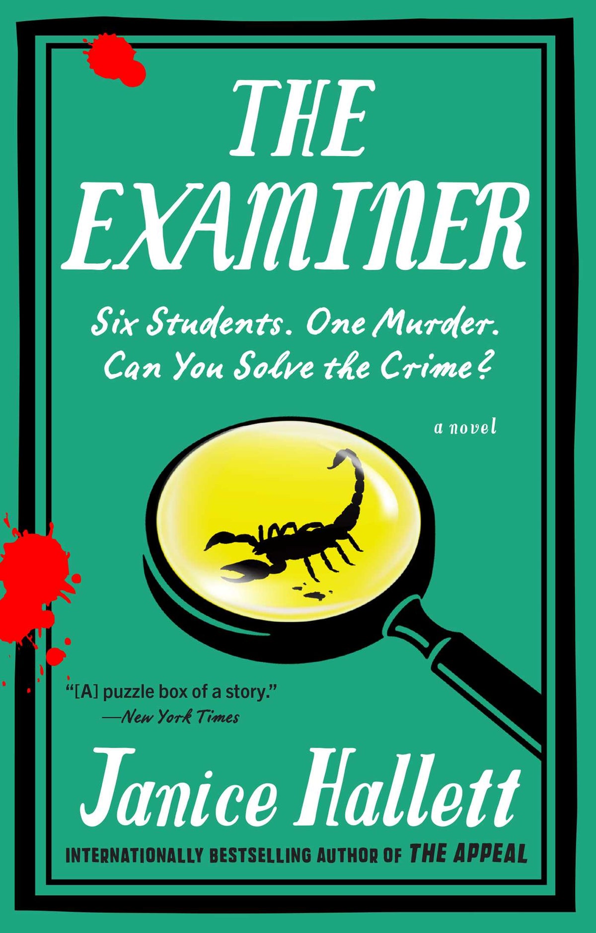 Examiner: A Novel
