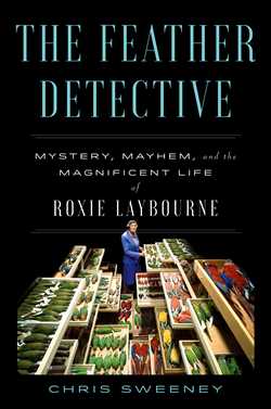 The Feather Detective