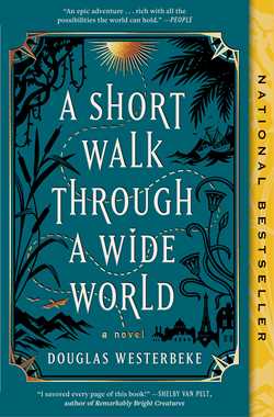 A Short Walk Through a Wide World