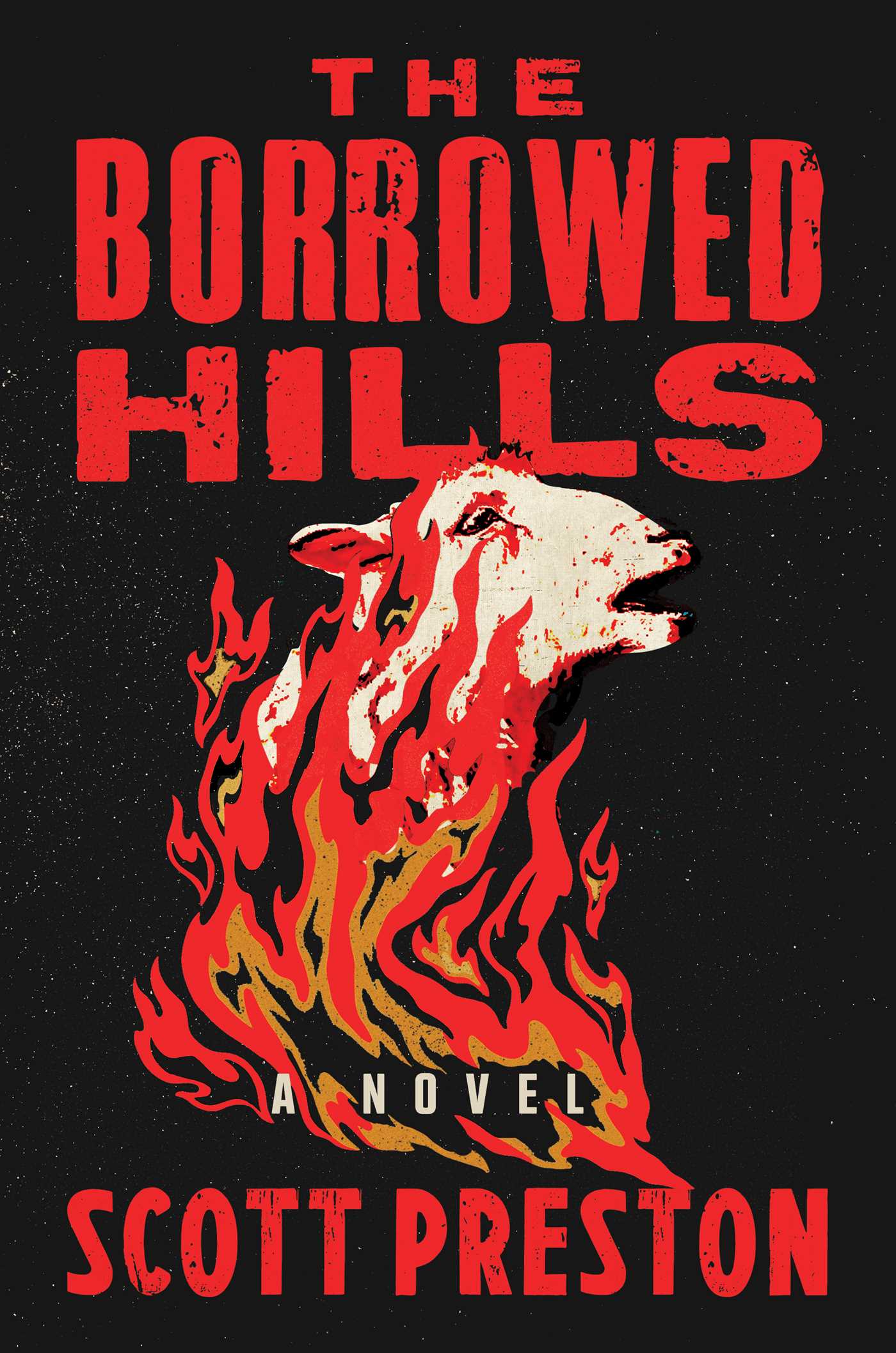 Borrowed Hills: A Novel