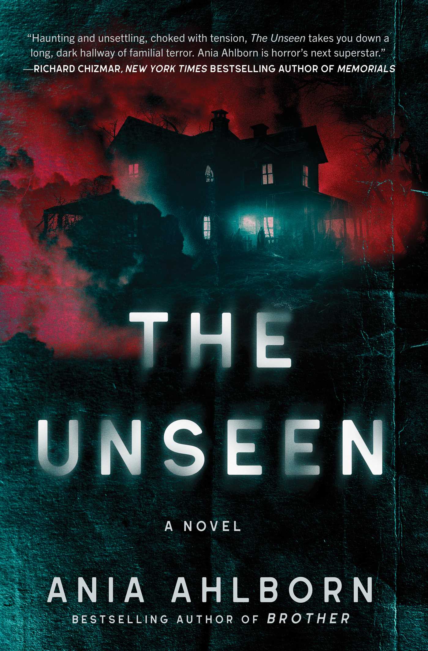 Unseen: A Novel