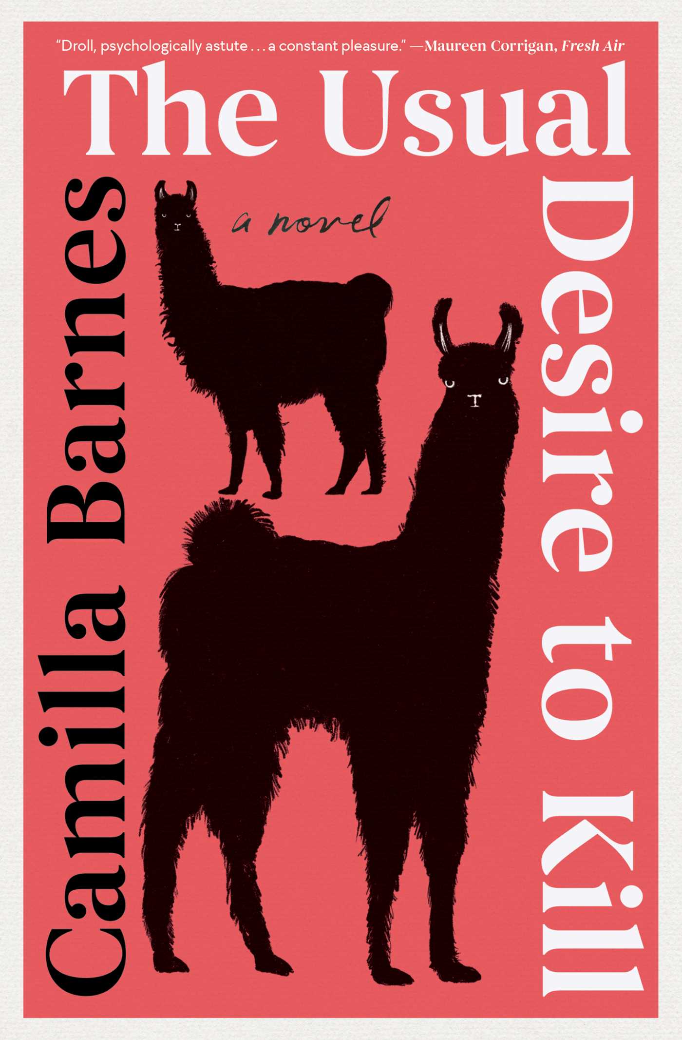 Usual Desire to Kill: A Novel