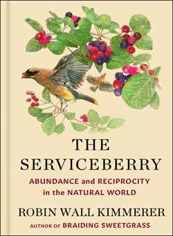 The Serviceberry