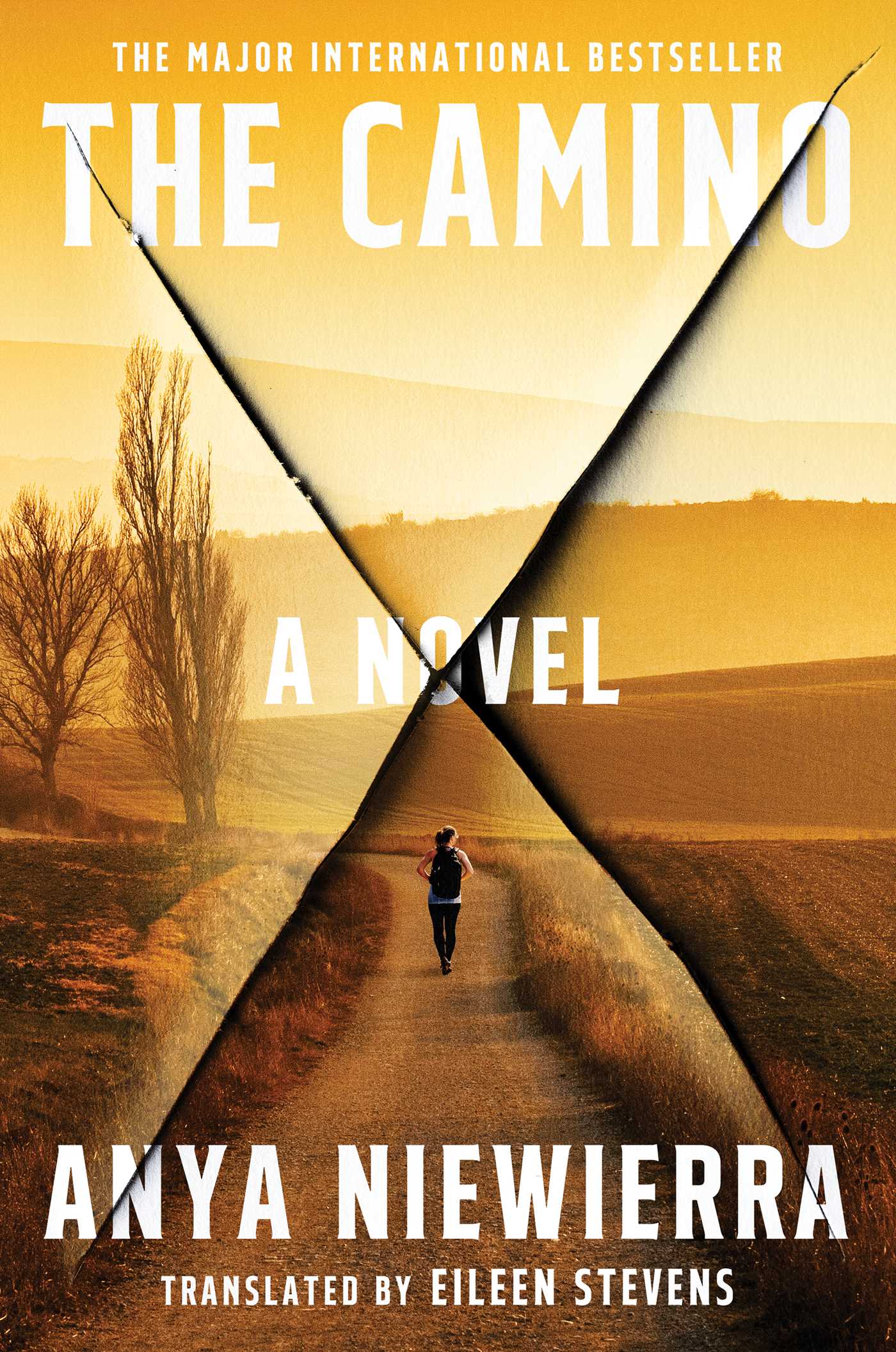 Camino: A Novel