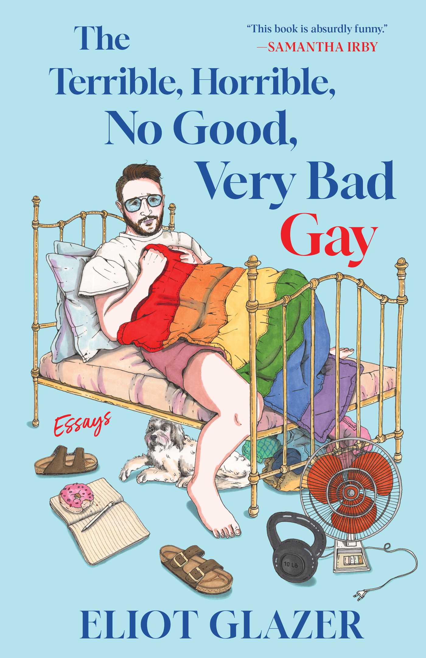 Terrible, Horrible, No Good, Very Bad Gay: Essays
