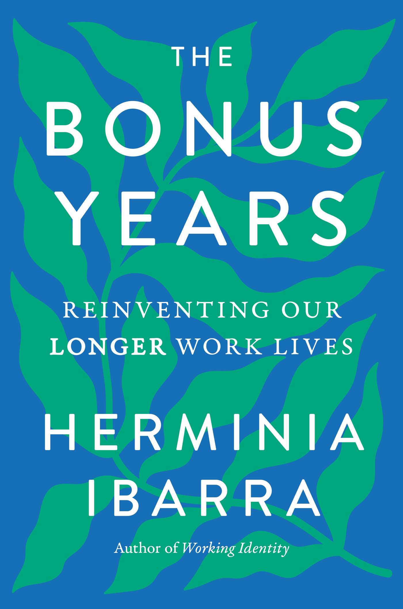 Bonus Years: Reinventing Our Longer Work Lives