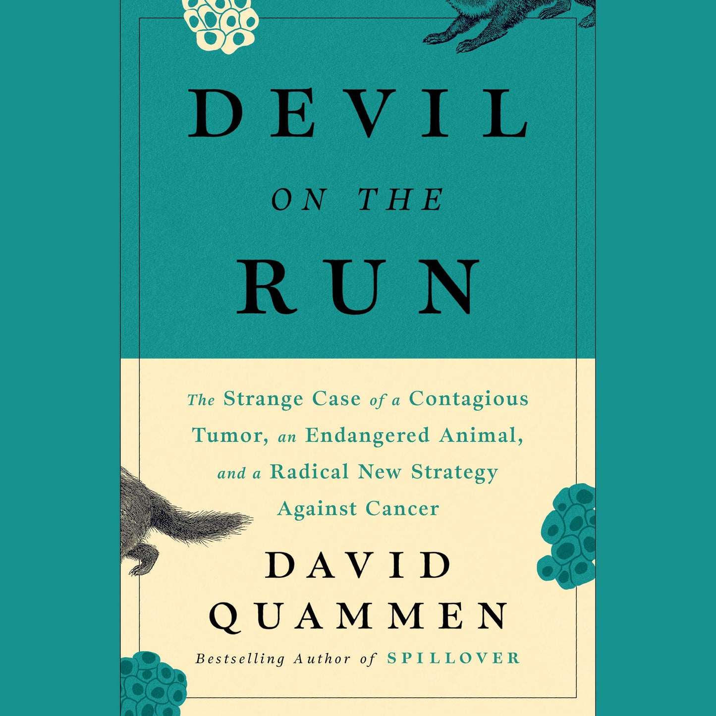 Devil On The Run