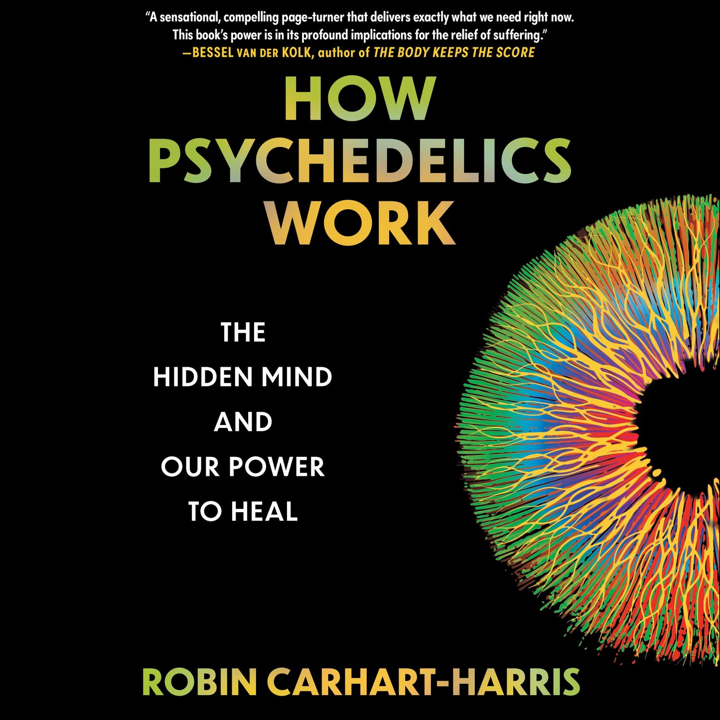 How Psychedelics Work: The Hidden Mind and Our Power to Heal