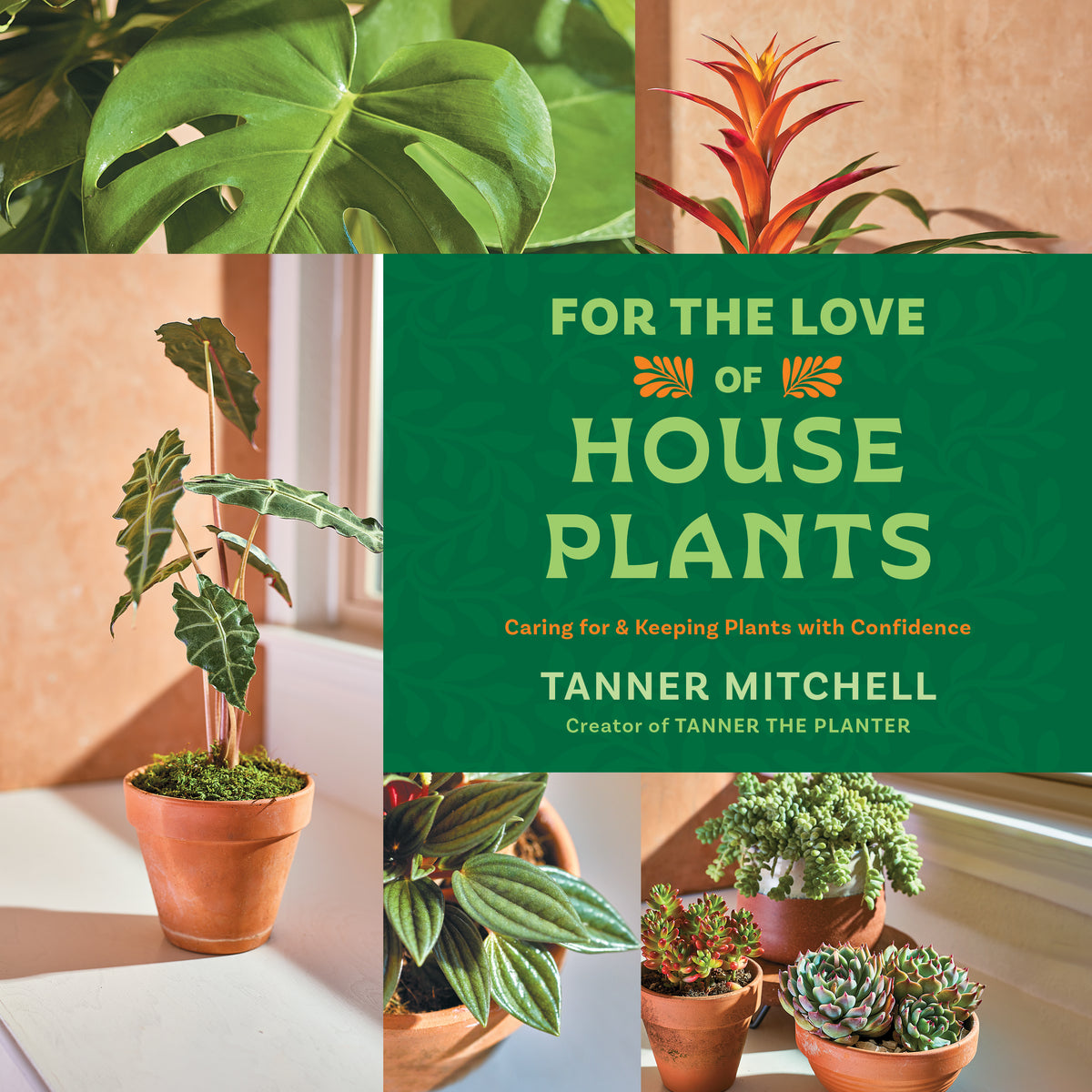 For the Love of Houseplants
