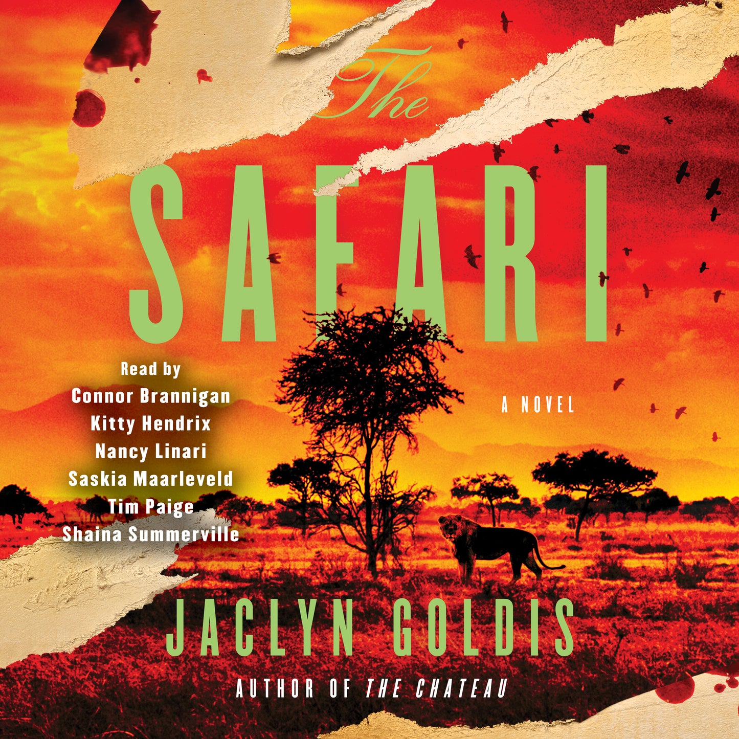 Safari: A Novel