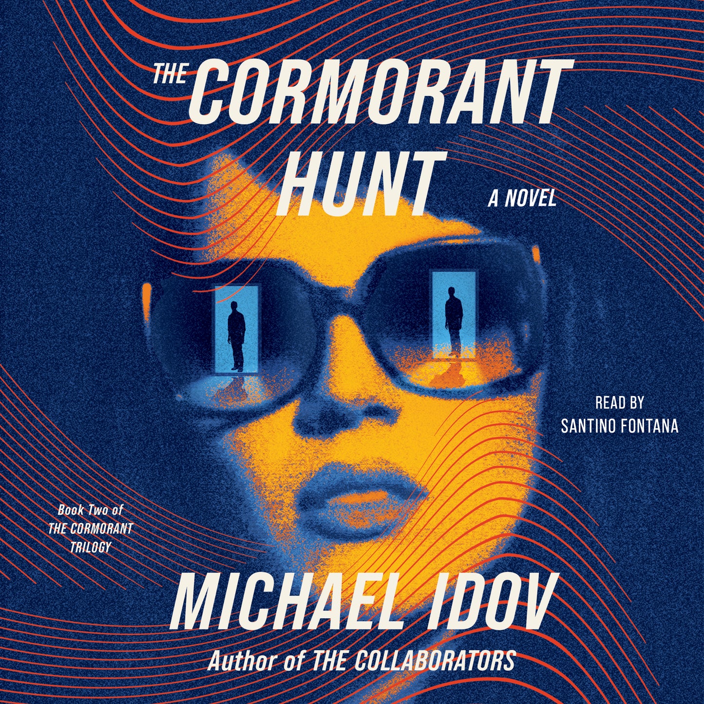 Cormorant Hunt: A Novel