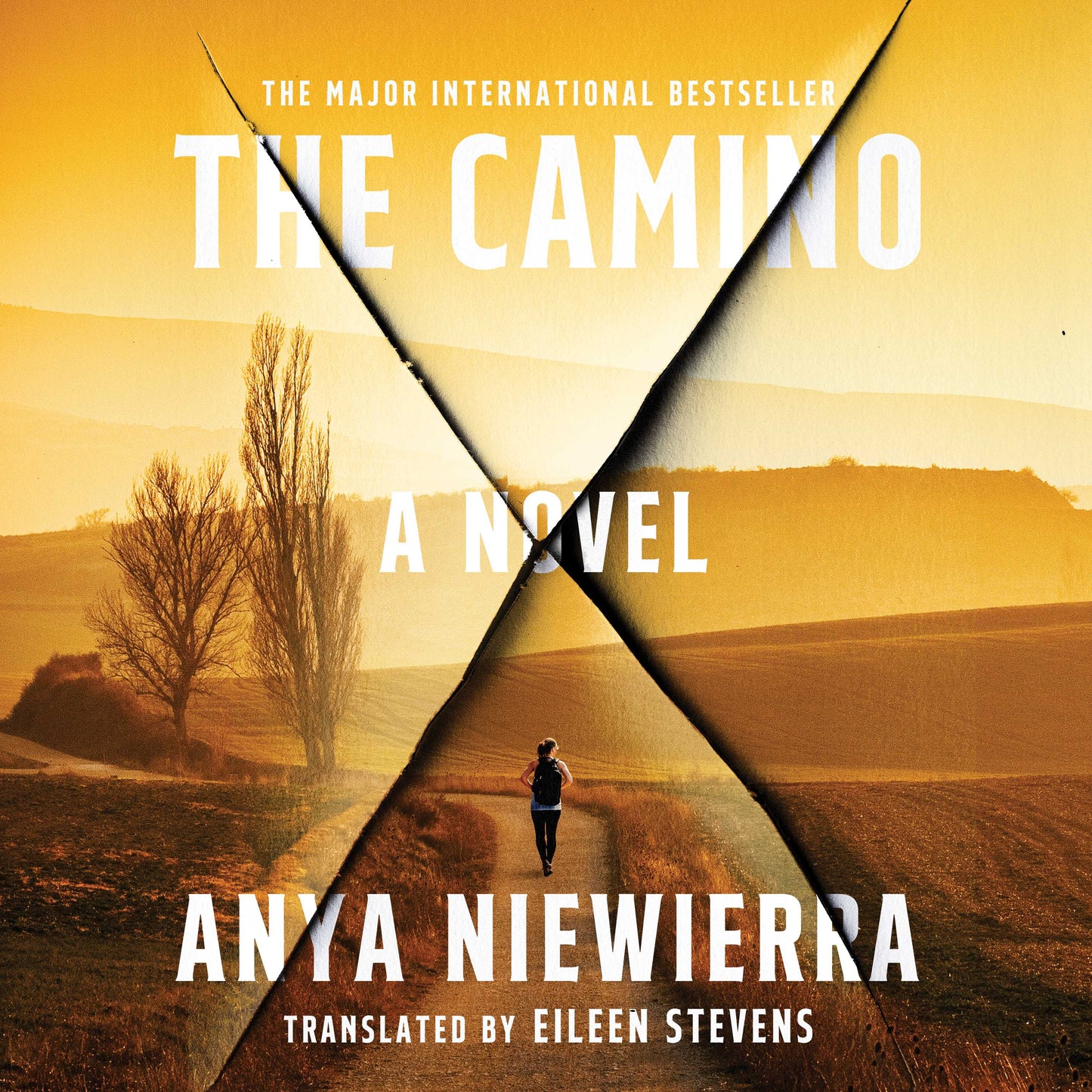 Camino: A Novel