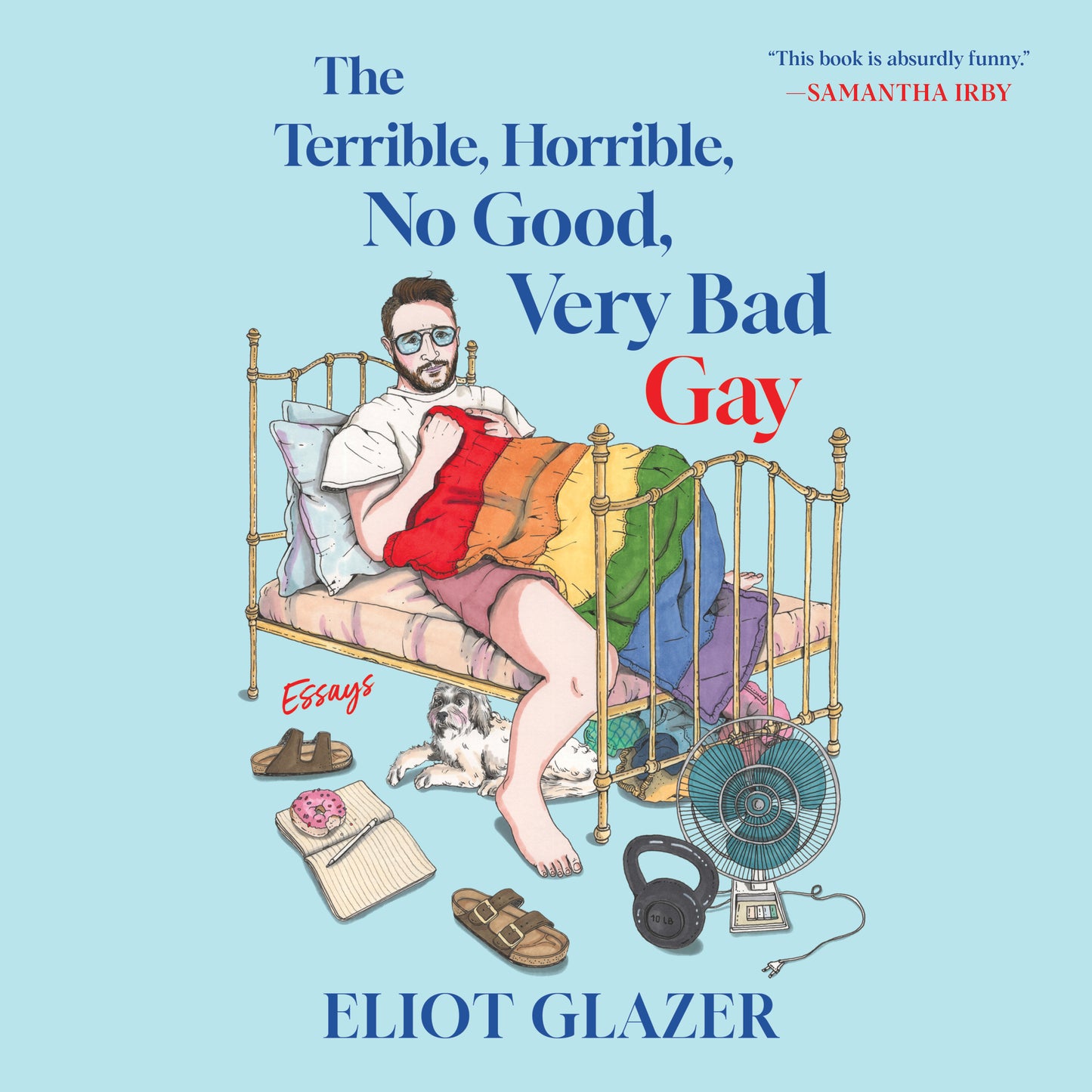 Terrible, Horrible, No Good, Very Bad Gay: Essays