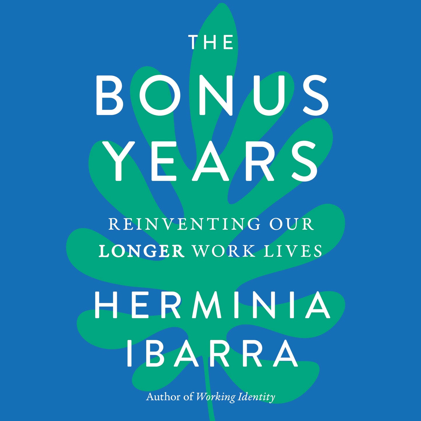 Bonus Years: Reinventing Our Longer Work Lives