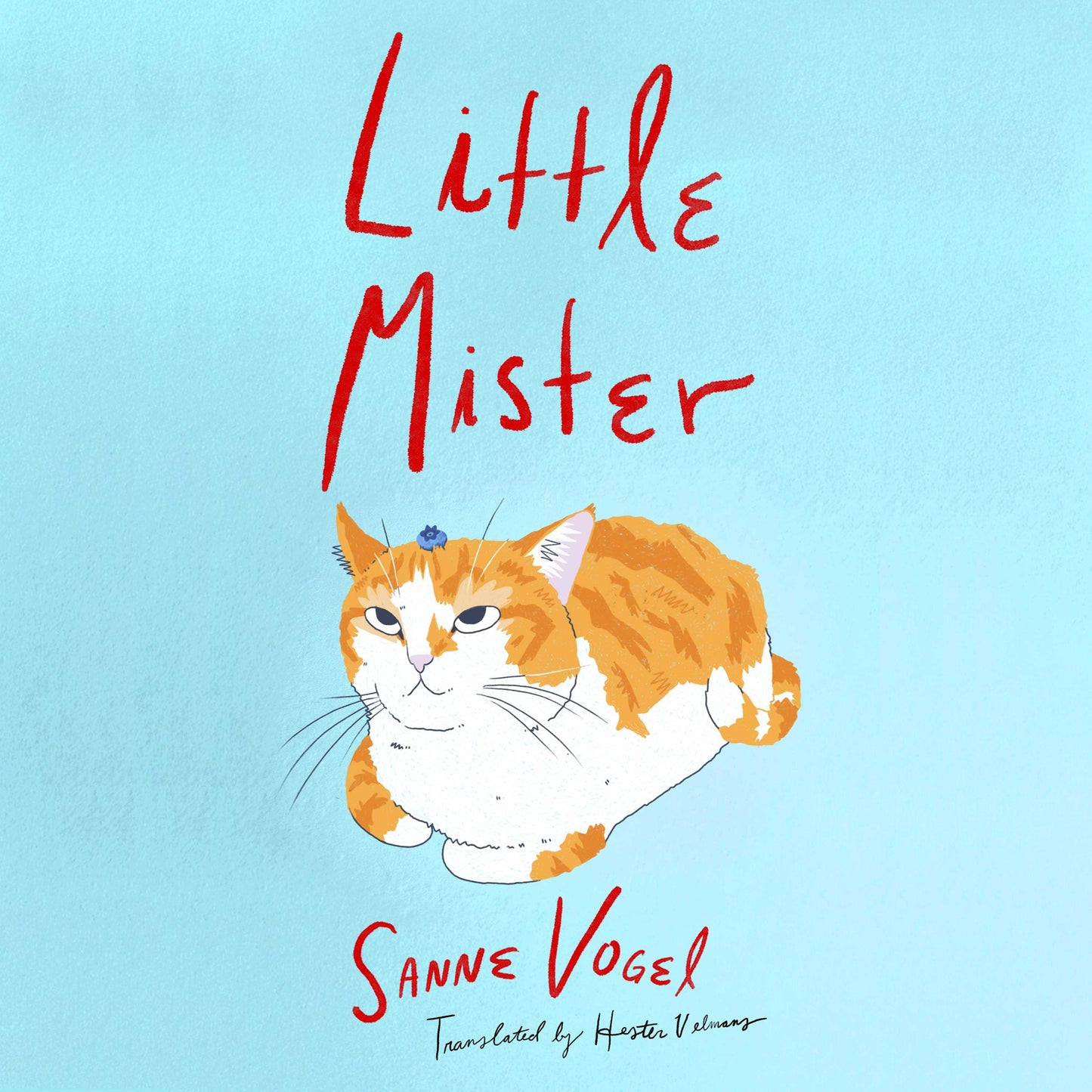 Little Mister