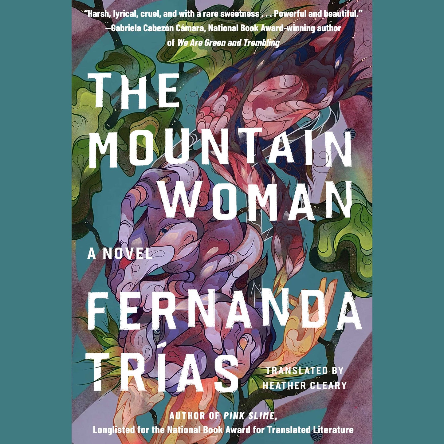 Mountain Woman (t): A Novel