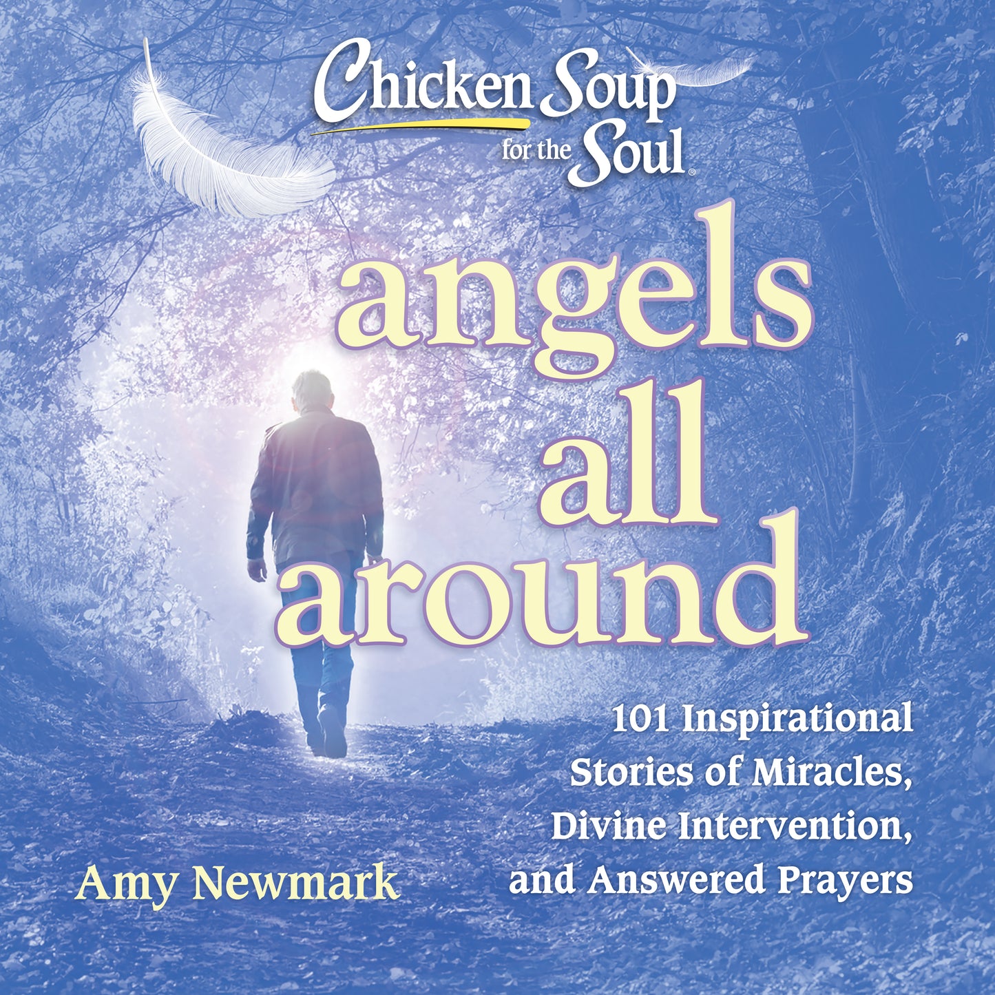 Chicken Soup for the Soul: Angels All Around