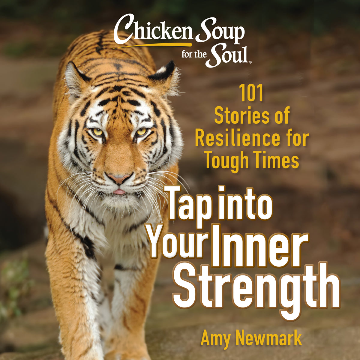 Chicken Soup for the Soul: Tap into Your Inner Strength