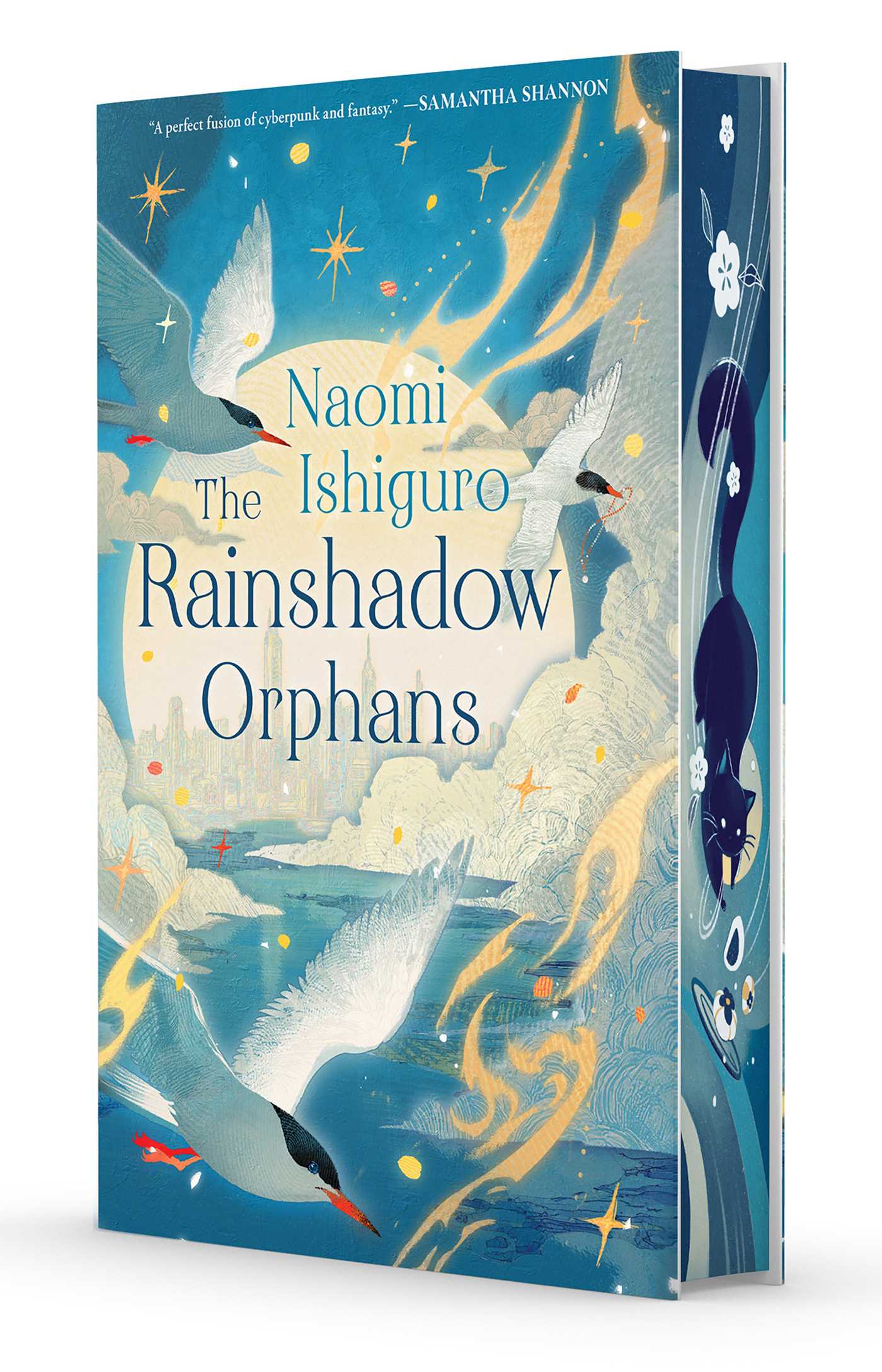 Rainshadow Orphans: The Rainshadow Series, Book One