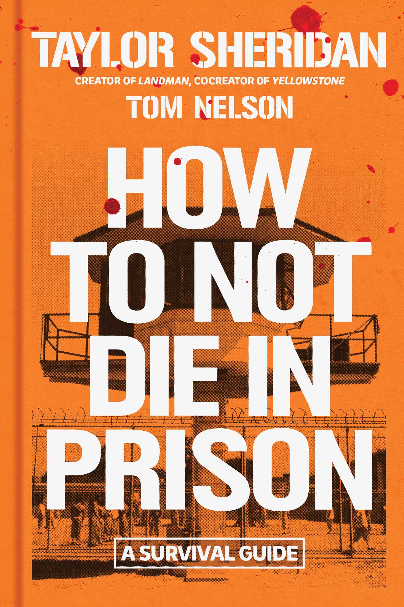 How to Not Die in Prison