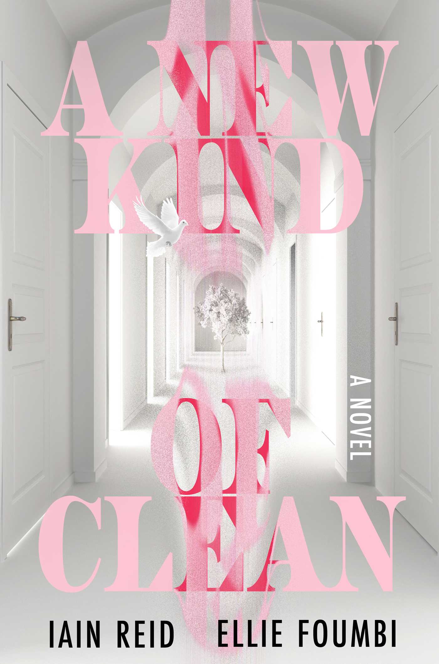 New Kind of Clean: A Novel
