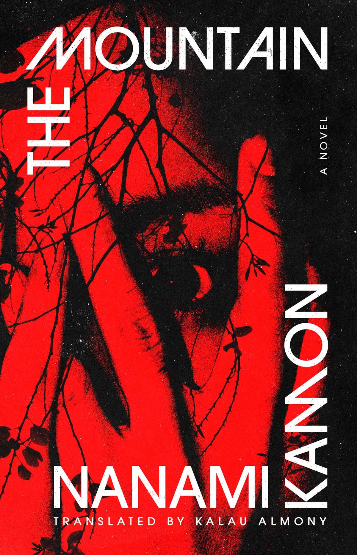 Mountain: A Novel