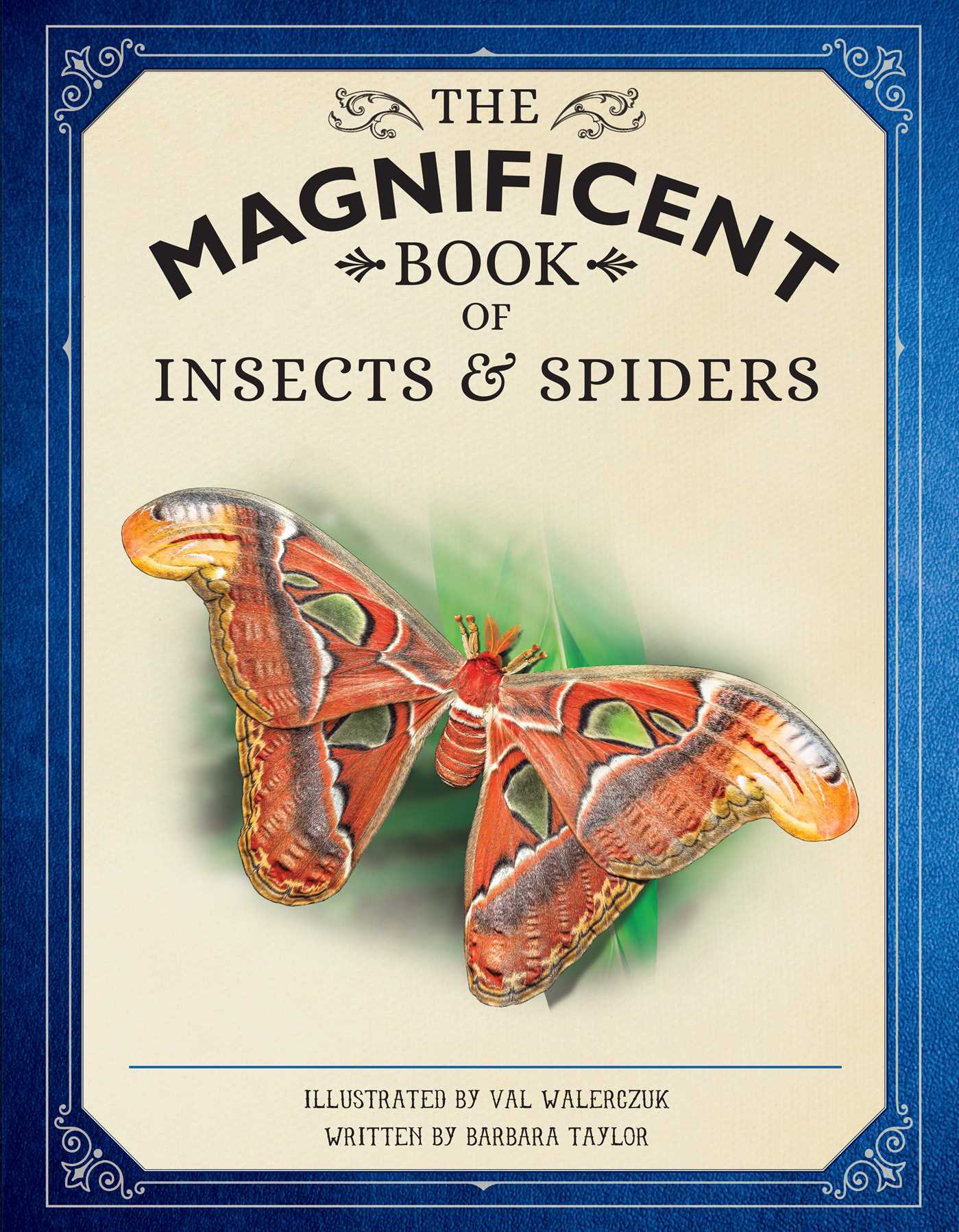 Magnificent Book of Insects and Spiders: (Animal Books for Kids, Natural History Books for Kids)