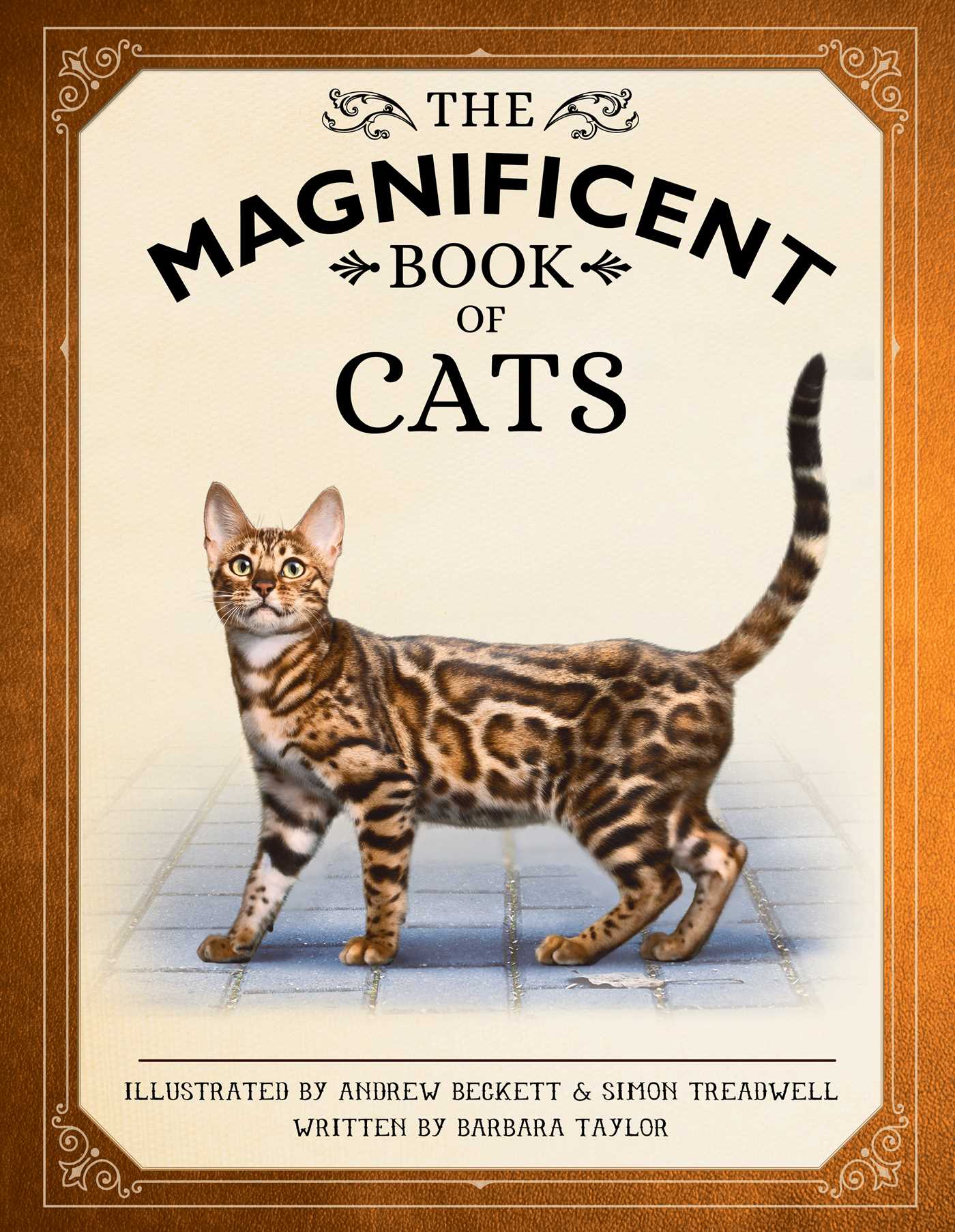 Magnificent Book of Cats